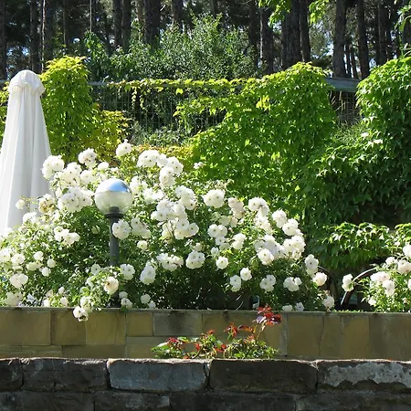 מלון דירות Milennia Family סאני ביץ'