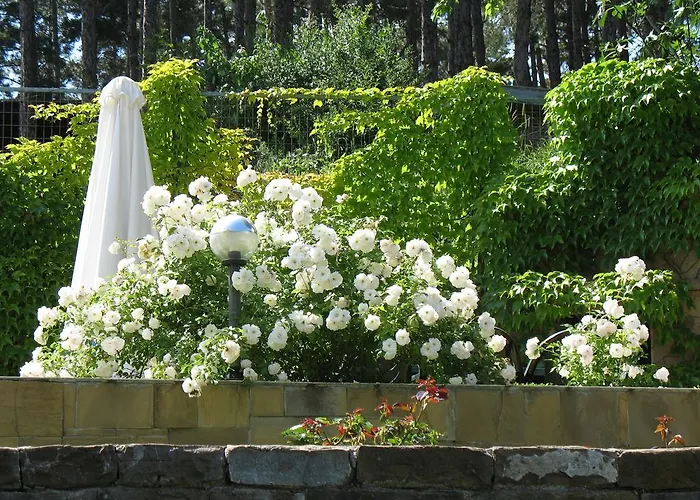 Hotel apartamentowy Milennia Family Słoneczny Brzeg