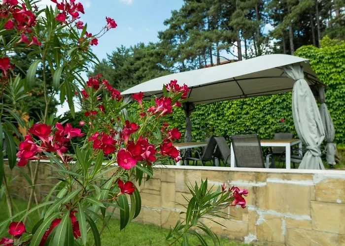 Milennia Family 4* Slantschew brjag