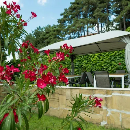 Milennia Family 4* Slăntjev Brjag